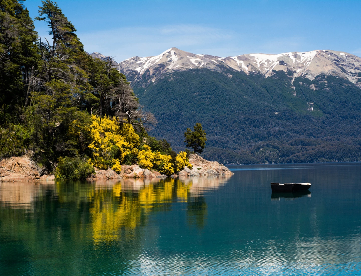 Lago con bote y flores